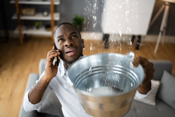Best Water damage contractors near me  in Norco, LA