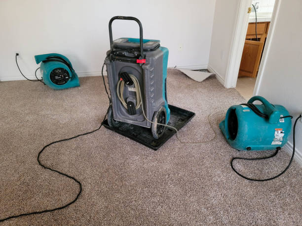 Best Residential water damage restoration  in Norco, LA