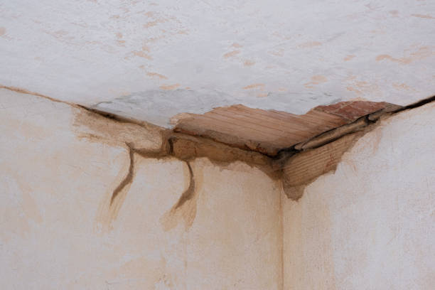 Best Flooded house restoration  in Norco, LA