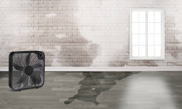 Fire Damage Restoration in LA