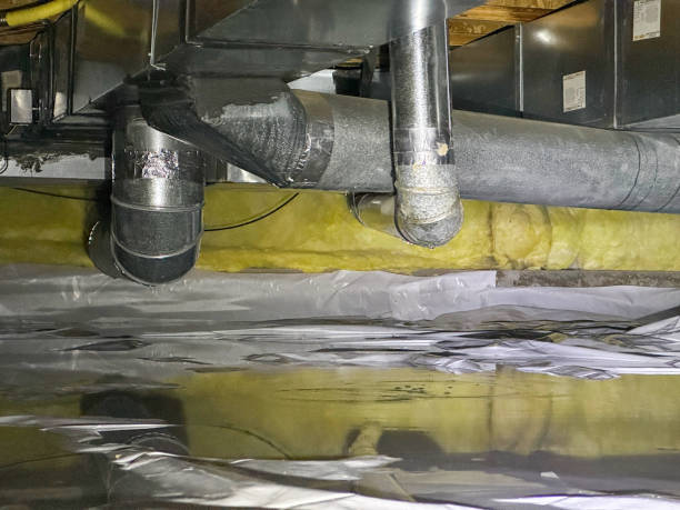 Best Water damage contractors near me  in Norco, LA