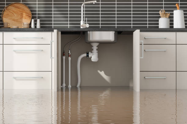Best Fire Damage Restoration  in Norco, LA